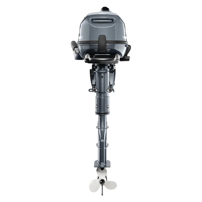 Yamaha 6 HP 4-stroke tiller outboard motor, back view